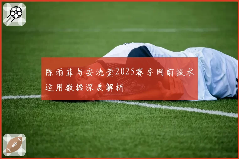 陈雨菲与安洗莹2025赛季网前技术运用数据深度解析