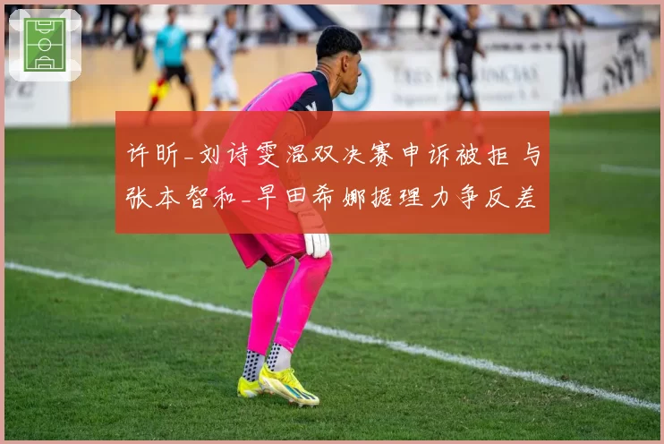 许昕_刘诗雯混双决赛申诉被拒 与张本智和_早田希娜据理力争反差