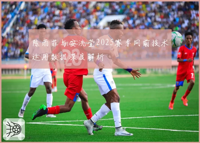 陈雨菲与安洗莹2025赛季网前技术运用数据深度解析